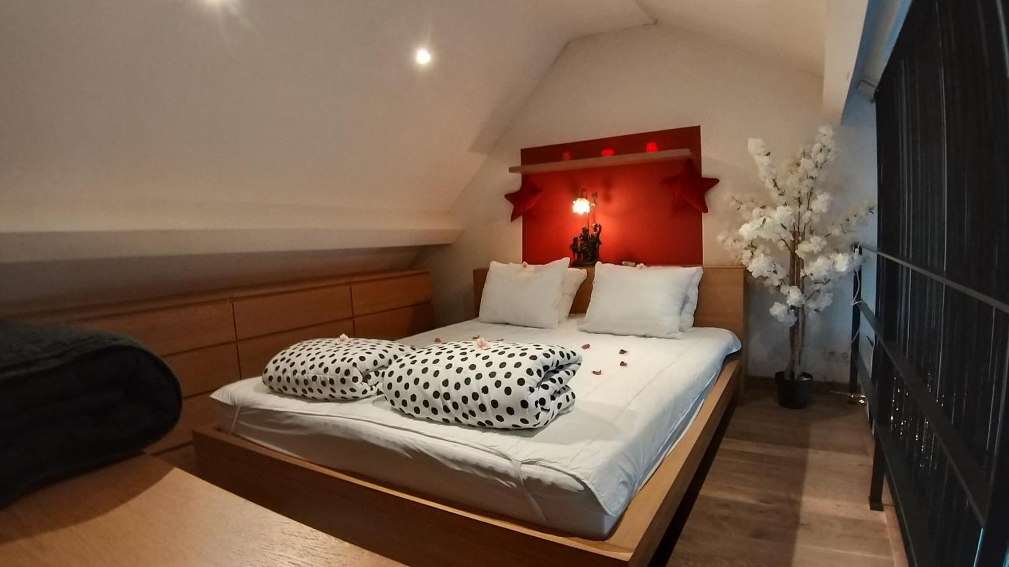 Wellness Loft With Sauna, Jacuzzi, Roof Terrace & Amazing View Apartman Antwerpen Kültér fotó