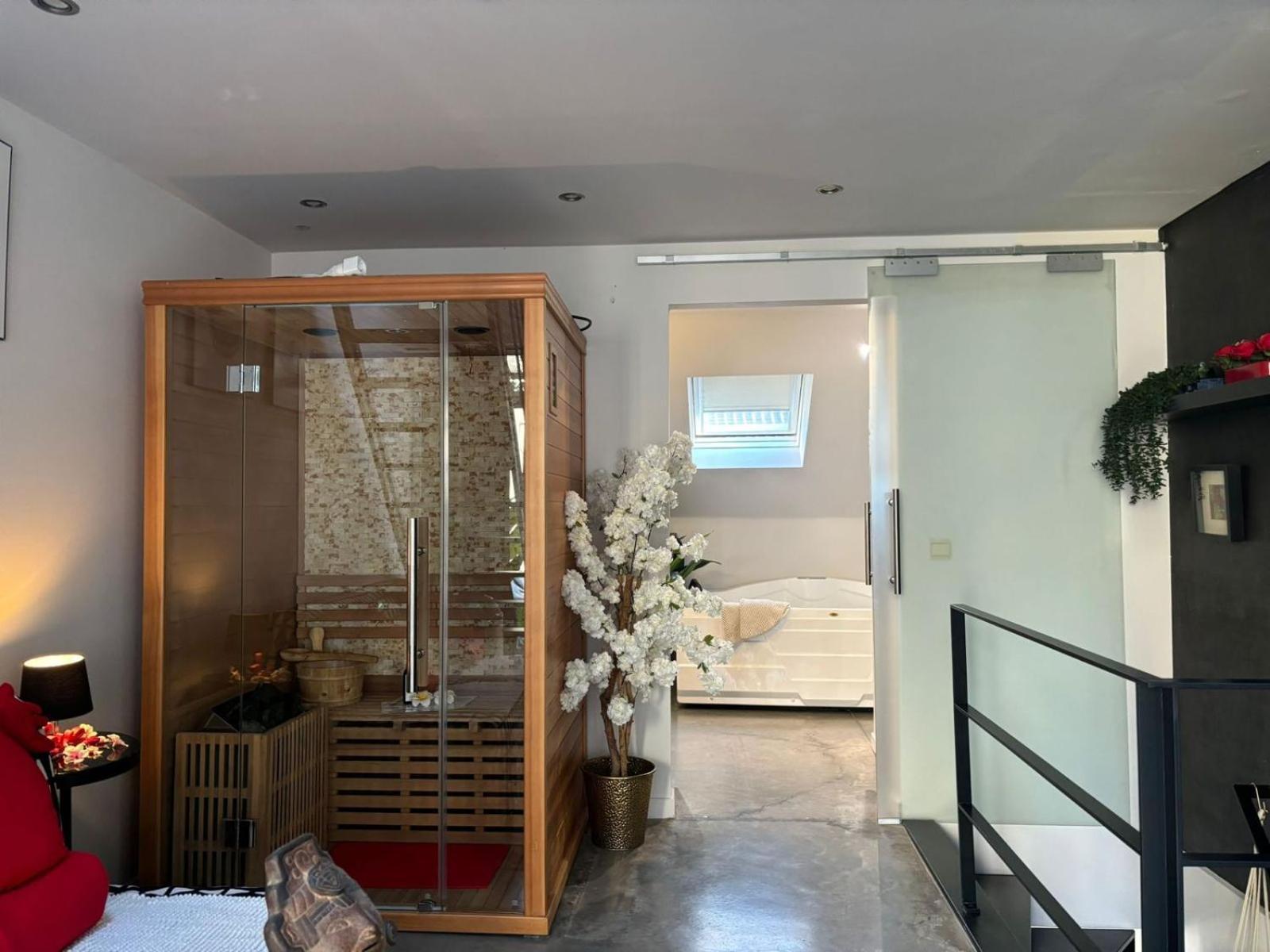 Wellness Loft With Sauna, Jacuzzi, Roof Terrace & Amazing View Apartman Antwerpen Kültér fotó