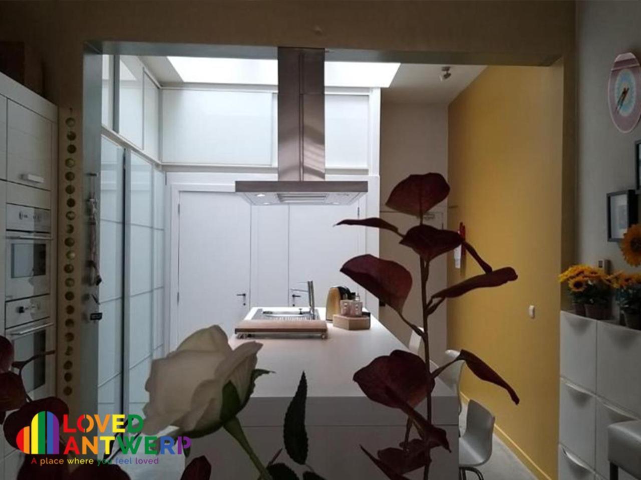 Wellness Loft With Sauna, Jacuzzi, Roof Terrace & Amazing View Apartman Antwerpen Kültér fotó